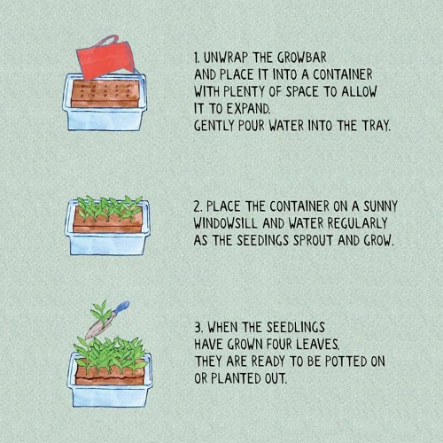 Soluzioni-originali-per-il-giardino-growbar