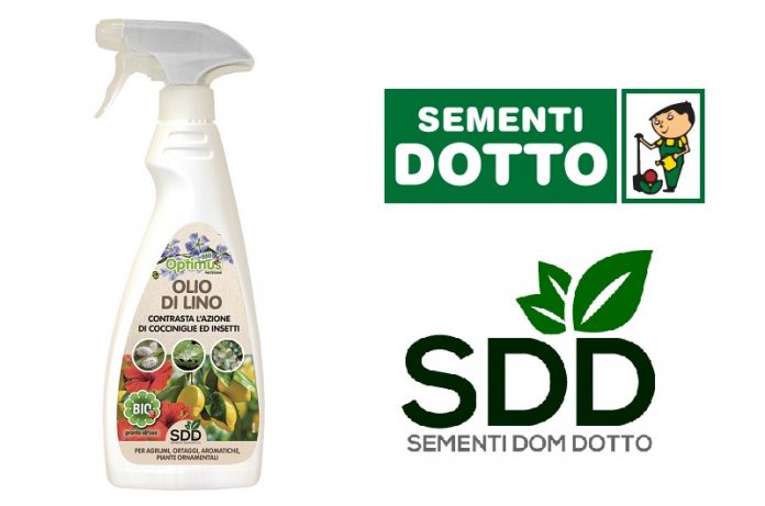 olio di lino