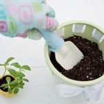 Terriccio senza torba per trapianti di Floragard Terriccio senza torba per trapianti