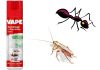 formiche e scarafaggi