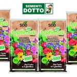 terriccio universale biologico