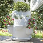 Vaso Oasi di Bama: ispirazione antica per un design contemporaneo vaso Oasi