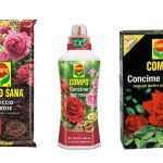 terriccio per rose