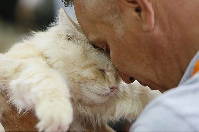 animali degli italiani