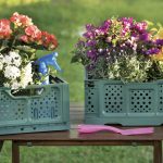 Cassetta multiuso Bama: pronta in un Oplà OPLA