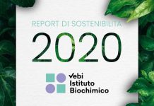 Vebi ha presentato il suo primo Report di Sostenibilità