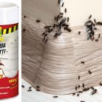 Compo Barriera Antiformiche Granuli, l’alleato contro le infestazioni antiformiche