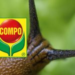 Compo Bio esca lumachicida, l’ecologica per eccellenza esca lumachicida
