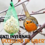 Gamma Bonus per uccellini