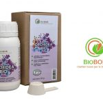 Orchidea Bio