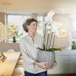 Acqua per Orchidee