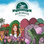 catalogo 2022 de Il Paese Verde