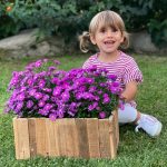 Le proposte di Pagano Fiori per i primi mesi del 2022 Pagano Fiori
