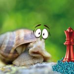 Orti liberi da lumache e limacce con Esca Regina Vithal Esca Regina