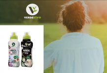 Verde Vivo