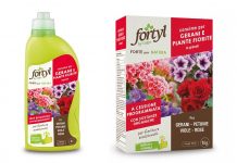 concime fortyl