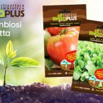 Nuova linea di sementi Rhizoplus, la simbiosi perfetta sementi Rhizoplus