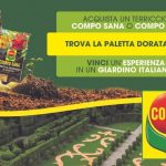 vinci la natura compo