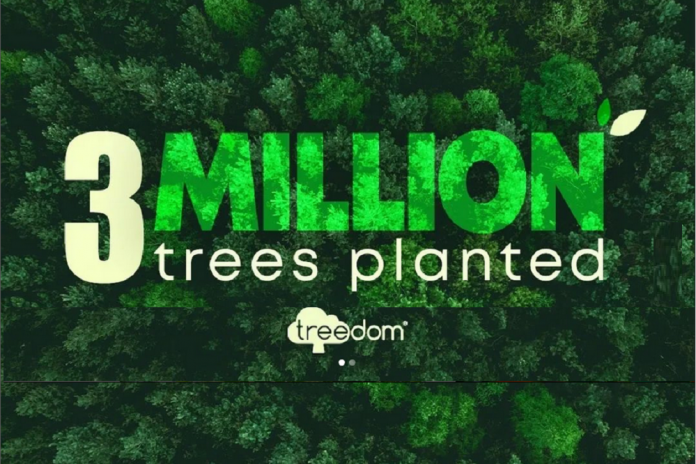 3 milioni di alberi per Treedom