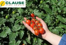 Clause Home Garden