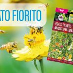 Prati Fioriti