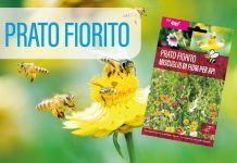 Prati Fioriti
