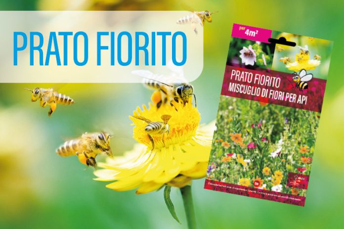 Prati Fioriti