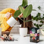 Linea Brave, per una cura delle piante ecosostenibile e innovativa cura delle piante ecosostenibile