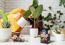cura delle piante ecosostenibile