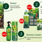 piante verdi compo
