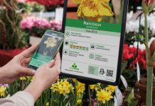 consulenza botanica