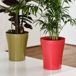 Orchidea e Porto, i vasi con fondo rialzato di Teraplast vasi con fondo rialzato