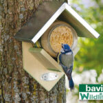 Bavicchi Wildlife