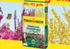 Terriccio Universale Floragard