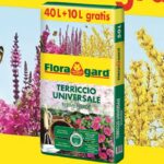 Terriccio Universale Floragard