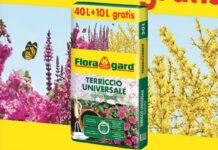 Terriccio Universale Floragard