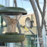 Smart Birds, la mangiatoia per uccelli di Swissinno Solutions mangiatoia per uccelli