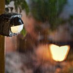 Illuminazione digitalizzata del giardino