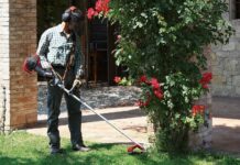 mercato delle macchine per il gardening