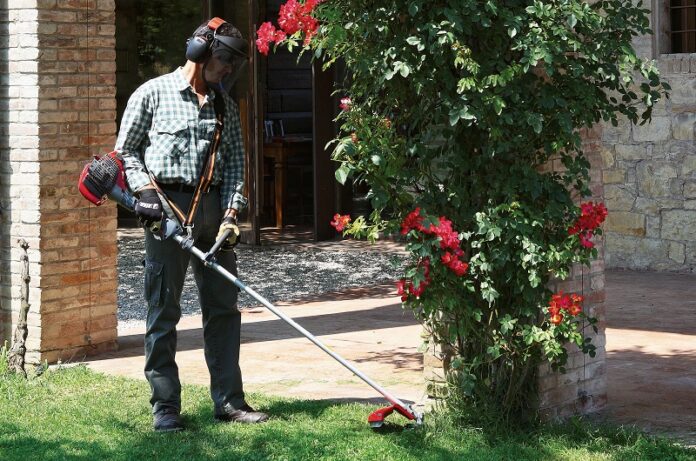 mercato delle macchine per il gardening