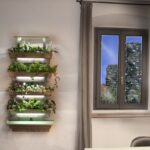 orto verticale domestico