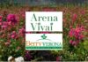 Arena Vivai acquisisce Berry Verona