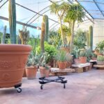 carrello porta piante