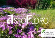 Assofloro a Myplant