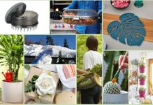 Idee interessanti per il giardino