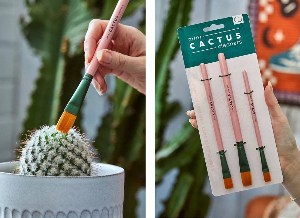 Idee interessanti per il giardino - pennelli cactus