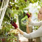 Le nuove referenze della gamma bio Rimedi Naturali di Compo Rimedi Naturali