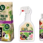 Farina di Basalto e Koracid: formulati naturali per piante sane e forti farina di basalto