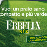 sementi addizionate con batteri azotofissatori