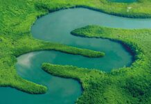 Fitt per l’ambiente